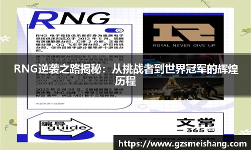 RNG逆袭之路揭秘：从挑战者到世界冠军的辉煌历程